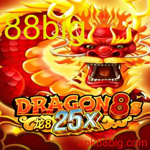 Dragon8s25x