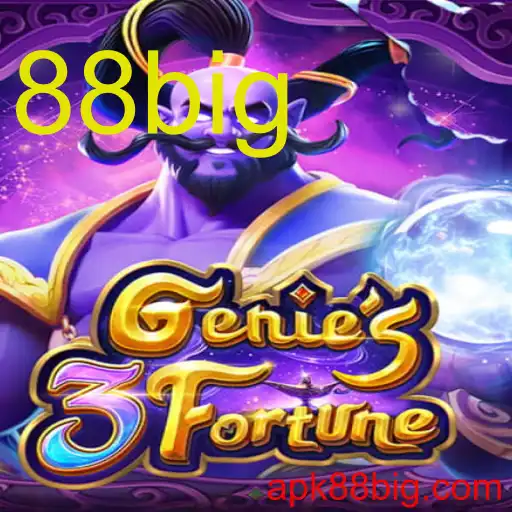 Genie3Fortune